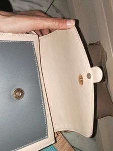 Gray & Beige Crossbody Bag