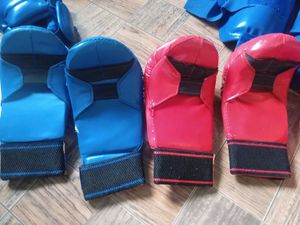 Karate/MMA Sparring Gear Set
