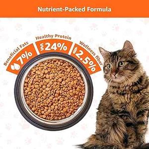 Adult Dog Food
