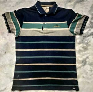 Combo Of 8 Cotton Men Shirts