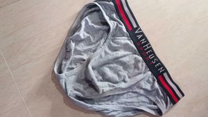 Van Heusen Briefs