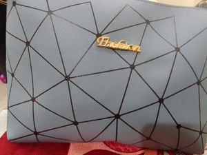 Fashion Hand Held Bag Medium