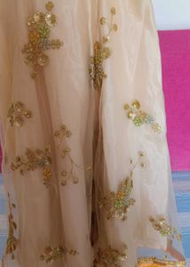 Kids Embroidered Peach Lehenga Skirt