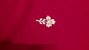 Elegant Red Embroidered Saree