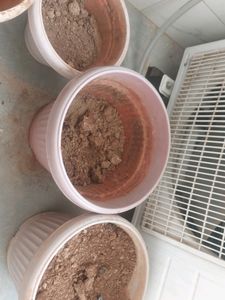 Pot With Soil And Composed