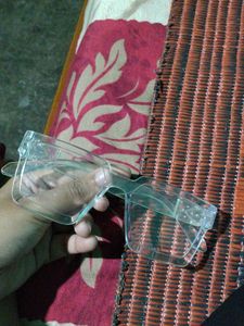 Clear Frame Sunglasses