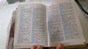 Pocket Dictionary