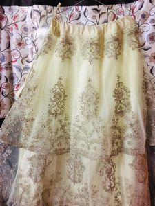 Expensive Lehenga