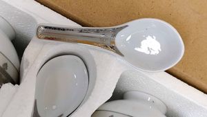 12 Pieces Bowl With Spoon Set