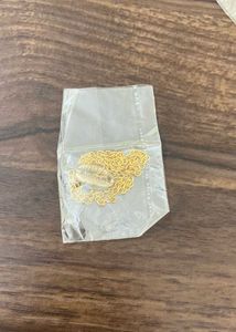 Gold Sea Shell necklace