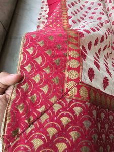 Beautiful Net Sharee