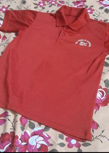 Branded New Women T-shirts And Dress