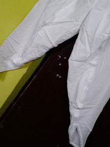 Trendy Dhoti Pant
