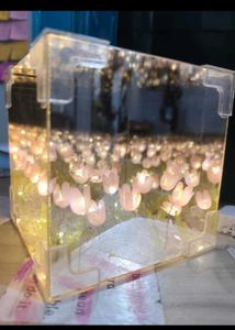 Handmade Tulip Mirror Light. Night Light
