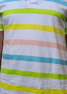 Striped Polo Shirt