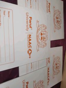 Parul University Notebooks - Set of 4