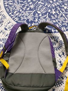 Skybags Backpack