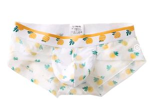 Pineapple Print U Convex Pouch  Transparent Brief