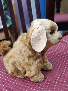 Puppy - Sensor Toy