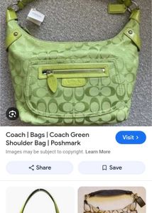 Coach Green Signature Hobo Bag