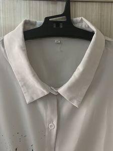 Women White And Blue Butterfly Top