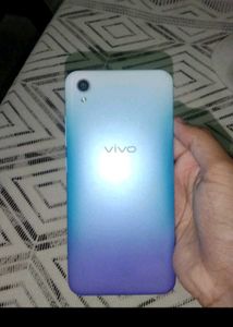 Vi vo Y1s ❤