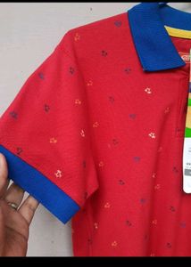Dixcy Scott Polo Tshirt For Boys