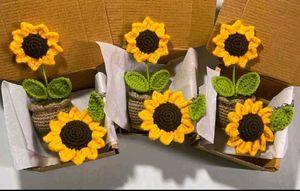 sunflower COMBO 🌻❤️