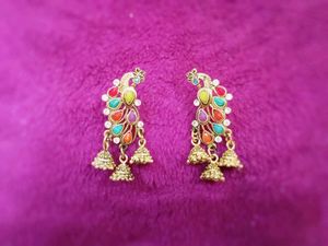Multicolored Ear Rings