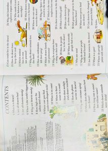 I Wonder Why Children's Book