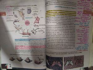 ncert class 12 biology