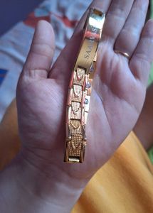 Gold-tone 'SAARVASRI'  Magnatic Bracelet