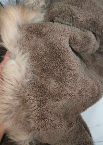 Faux Fur Hooded Coat