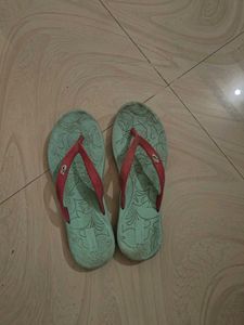 Blue Slipper New