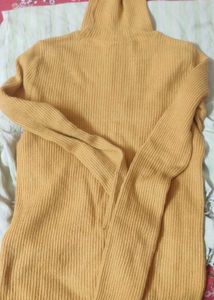 Hineck/Turtleneck Sweater