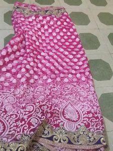 Net Sadi Blause And Paticot