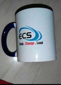 Office Cup