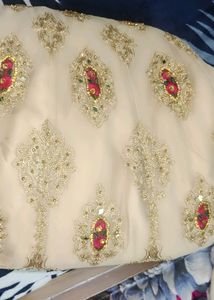 Elegant Pakistani/Indian Wedding Dress