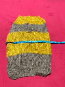 Knitted Winter Sweater for Small Breed Dogs