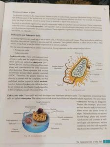 Class 9th Science book