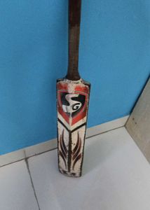 Bat of sg max cover