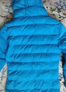 Puffed Long Jacket With Hood