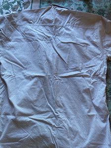 Polo Rush Shirt - New with Tag