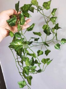 Artificial Green Vine