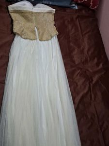 White Net Gown