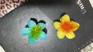 3 Pinterest Earing &amp; 2 Cute Flower Hair Clips