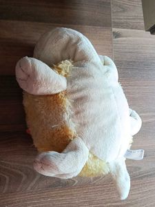 Cute Plush Turtle