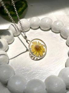 Elegant Daisy