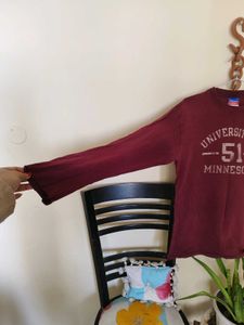 Champion Minnesota sweatshirt