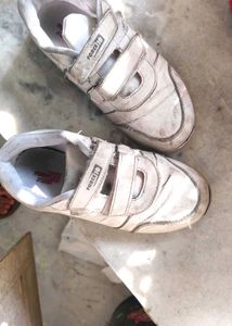 Force10 White Sports Shoes